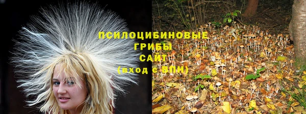 Альфа ПВП Вяземский