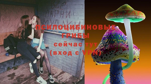 ECSTASY Вязьма