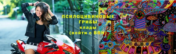 ECSTASY Вязьма