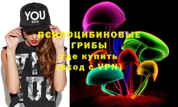 Альфа ПВП Вяземский