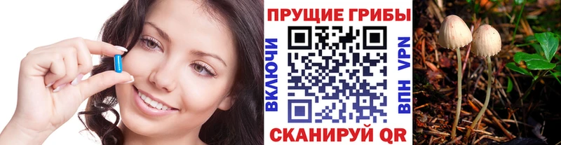 Псилоцибиновые грибы Psilocybine cubensis  купить наркоту  гидра зеркало  Липецк 